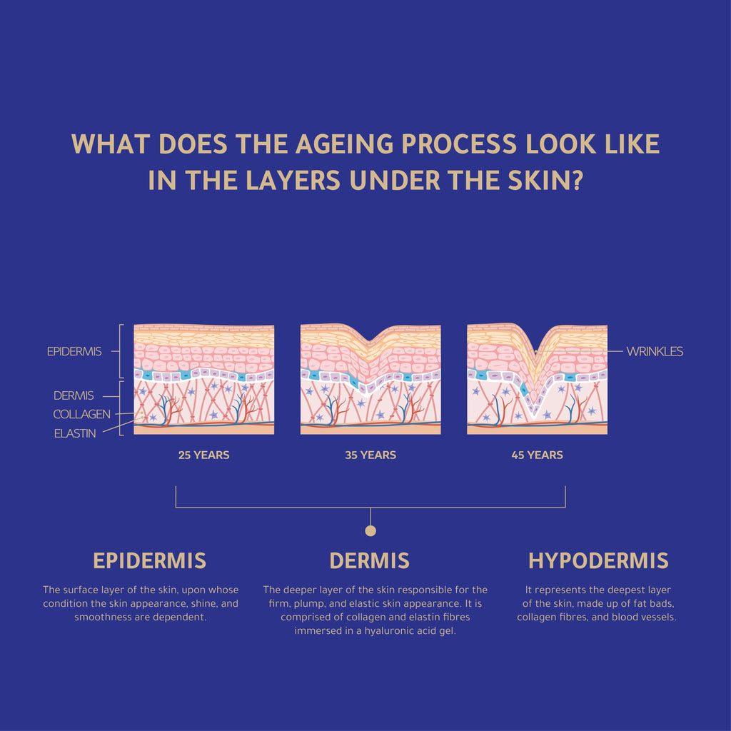 3 Skinage Collagen Tri-Active 20000mg + Skinage collagen production cream intense 50ml
